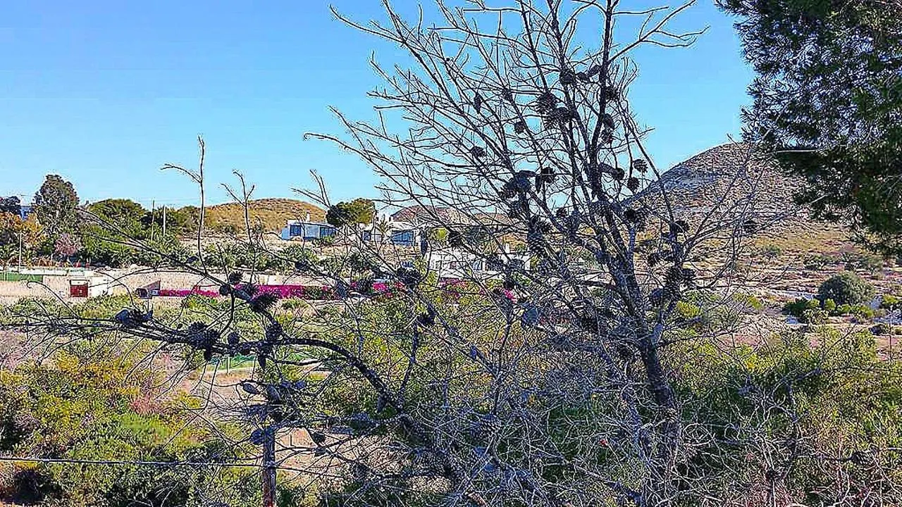 Villa La Hoya Agua Amarga  Сasa de vacaciones